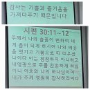 추수감사주일(이웃초청주일)/세례식/성찬식 이미지