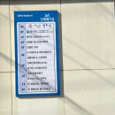 진해안과의원 네이버블로그