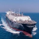 대조-003 이미지