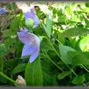 사암농장 이미지