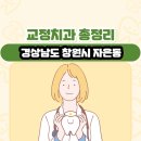 황성수치과의원 | 경상남도 창원시 자은동 교정치과 총정리