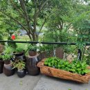 놀부네 촌캉스 이미지