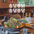 송당퐁당 이미지