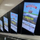만리포니아서핑협동조합