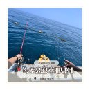 속초고성배낚시체험신세계호 | 속초배낚시 추천 초보도 재밌었던 속초윤창호배낚시체험 리얼후기