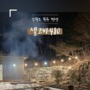 젤코바480