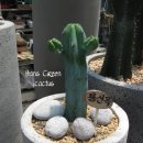 신목농장 이미지