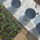 모월농장 이미지