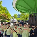 아이앤아이 태권도 스포츠클럽 네이버블로그