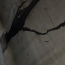 대양판지 노동조합 이미지