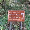 변종인 묘와 신도비 이미지