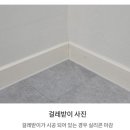 중앙공원로 이미지