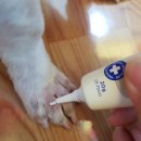 릴리브미 이미지