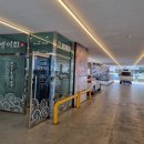신사꽃등심(호평직영점) | 대구 본리동 맛집 방어진참가자미 만족스러운 내돈내산 후기