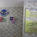 롤리팡 네이버블로그
