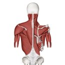 리워드짐 이미지