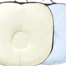 둥지애견 이미지