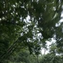 종로-연건-종로-연-379 | 고양 123 골프클럽 + 구기동 장모님해장국 (북한산)