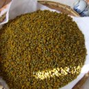 일화농장 이미지