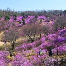 부천경비교육 이미지