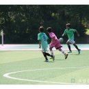 공설보조구장 Daum카페