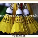 2012년 대한민국배드민턴국가대표 남,여 선수단 현황 이미지