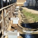 우신축산 | 우신이엔지 워터컵 설치 후기! 수질개선과 낮은 소비전력으로 한우 건강 관리하기