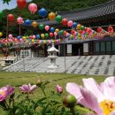 보광사 뉴시스