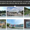 더라루체 이미지