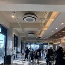 키스톤 | 남양주 카페 솔직 후기｜카페로그 &amp; 키스톤 스피시즈