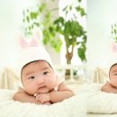 봄날스튜디오 이미지