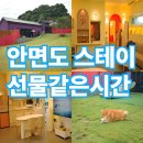 스테이 선물같은시간 | 스테이 선물같은 시간 안면도 애견독채 숙소 250평 운동장