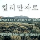 킬리만자로 The Carcass of a Leopard on Kilimanjaro (Lyric video) 이미지