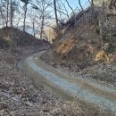 금당엄나무마을 이미지