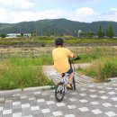 강변운동장제방 이미지