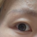 레온느안경 위드렌즈 수유점 이미지