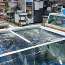 목포 활어회 플라자 이미지