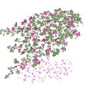 오토오아시스 메가마트 천안점 이미지