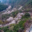 두류공원로 이미지