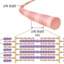 주파수직종 꼬행세하면 패버린다 ㅋ요도조임근들=청소년 칼슘 트륨 장애인들이 의식탑재하고 댕겨대노 ㅋ 이미지