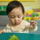 세윤농장 이미지