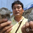 미포산단진입도로 이미지