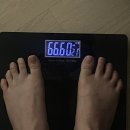 원푸드시스템 - 안양시 동안구 | 신사 지방분해주사 팔뚝 허벅지 하프컷 1회차 솔직 후기,가격