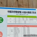 유명산자연휴양림 이미지