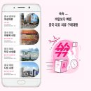 팔팔의류