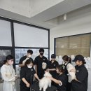 라이너애견미용학원