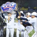 양의지 카카오 검색결과