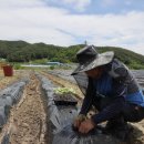 칠성면업사 이미지