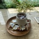 씨유마곡보타닉푸르지오1점 | 마곡미용실, 디얼스마곡점 나봄실장님께 매트브라운 염색했어요