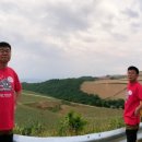 알프스식당 이미지